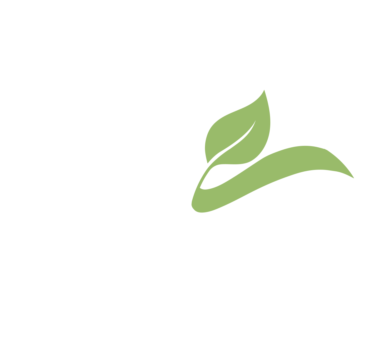 Sistema ecoline de Mercury - control de calidad