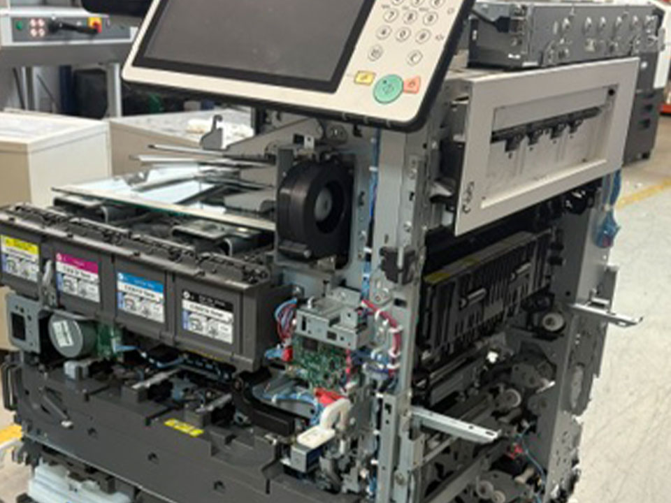 Lee más sobre el artículo Neque adipiscing an cursus